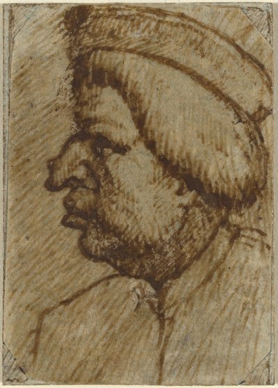 Profil eines Mannes von Lombard 16th Century