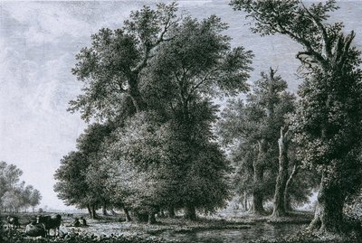 Landschaft mit Eichen von Lorenz Adolf Schönberger