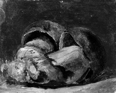 Zwei Boleti von Lorenz Frølich