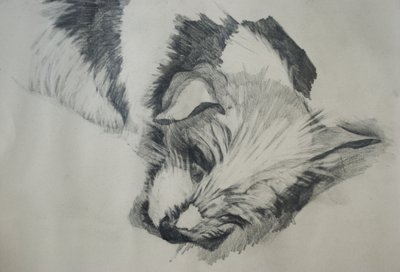 Jack Russel von Lou Gibbs