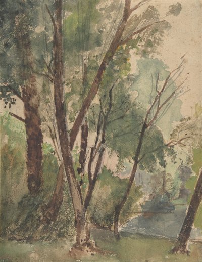 Bäume neben einem Teich, 1853-1878 von Louis Antoine Leon Riesener