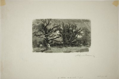 Im Schlafsaal von Lantara von Louis Auguste Lepère
