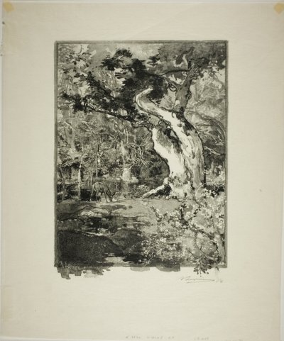 Le Clovis, Plateau de Bellecroix von Louis Auguste Lepère