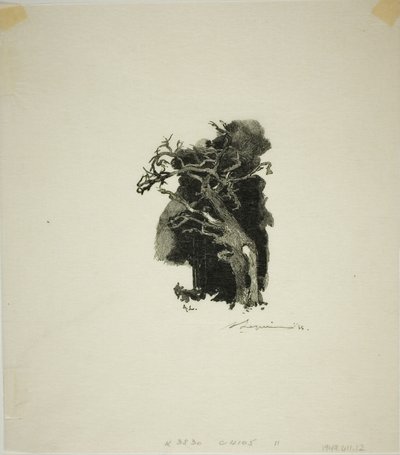 Die Spitfire von Louis Auguste Lepère
