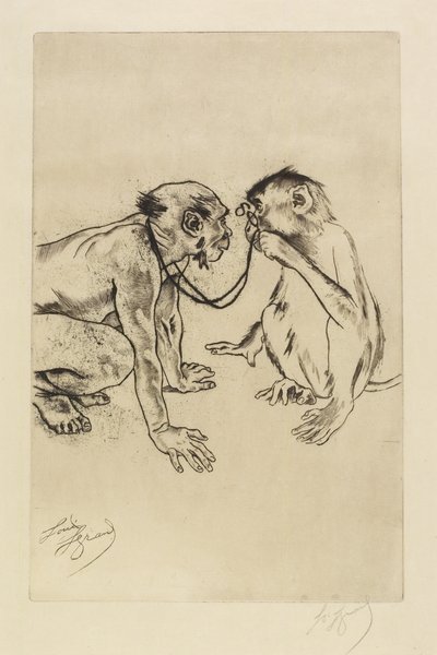Vergleichende Anatomie von Louis Auguste Mathieu Legrand
