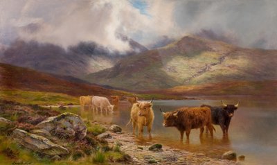Hochlandrinder von Louis Bosworth Hurt