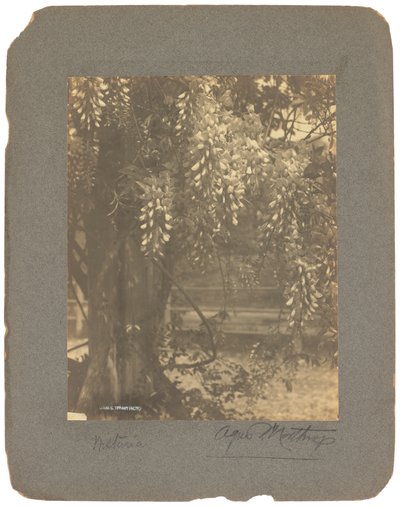 Tiffany Studios, ca. 1898-1920 von Louis Comfort Tiffany