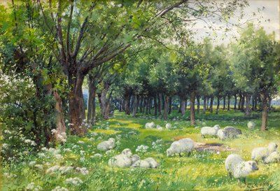 Schafe in einem Obstgarten im Frühling von Louis Fairfax Muckley