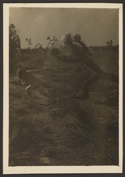 Bogeymann der Wüste von Louis Fleckenstein