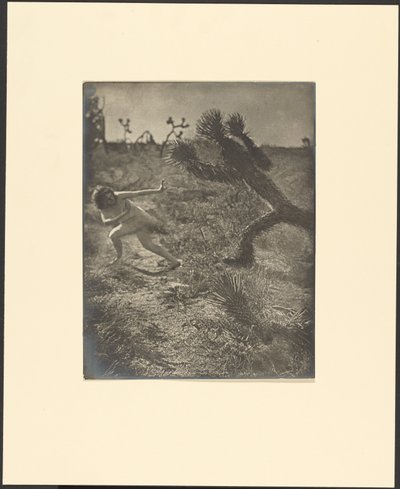Bogeymann der Wüste von Louis Fleckenstein