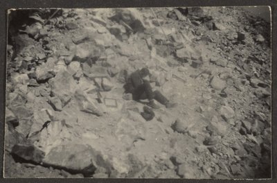 [Figur auf Felsen] von Louis Fleckenstein