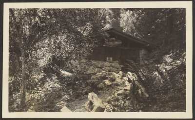 Waldhütte von Louis Fleckenstein