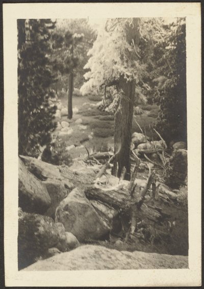 [Landschaft] von Louis Fleckenstein