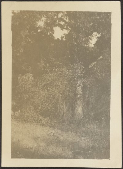 [Landschaft] von Louis Fleckenstein