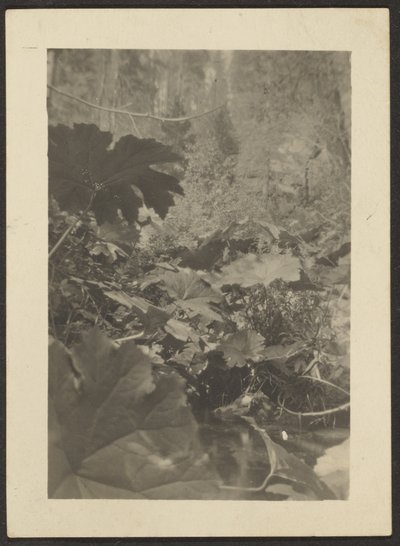 Landschaft von Louis Fleckenstein