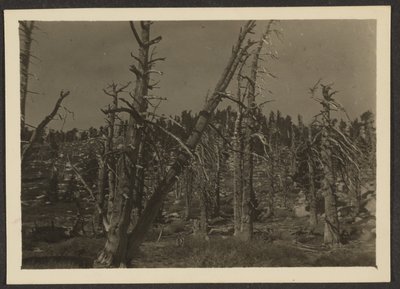 Landschaft von Louis Fleckenstein