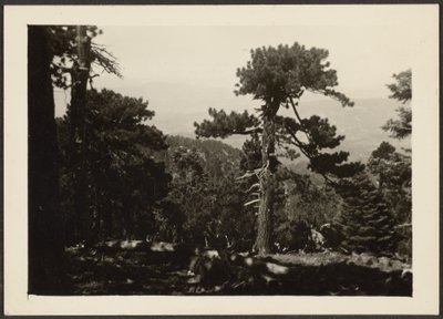 Landschaft von Louis Fleckenstein