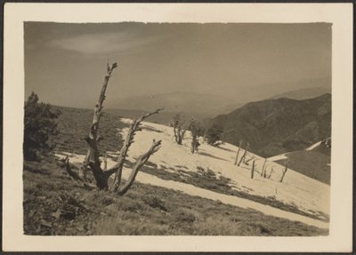 [Landschaft] von Louis Fleckenstein
