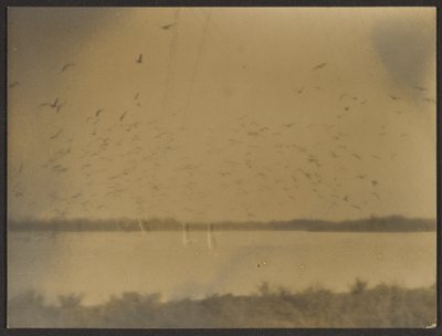 [Landschaft mit Vögeln] von Louis Fleckenstein