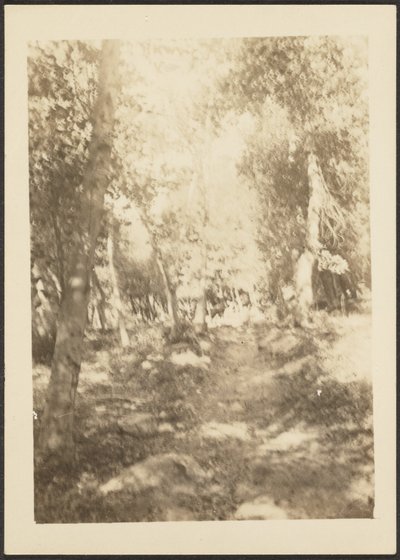 Landschaft mit Wildhirschen von Louis Fleckenstein