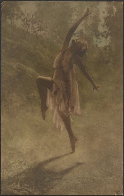 Rosentanz des Südens von Louis Fleckenstein