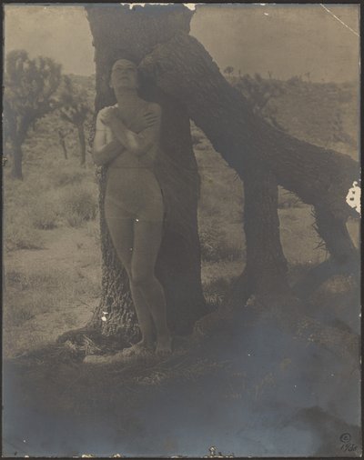 Geist des Joshua von Louis Fleckenstein