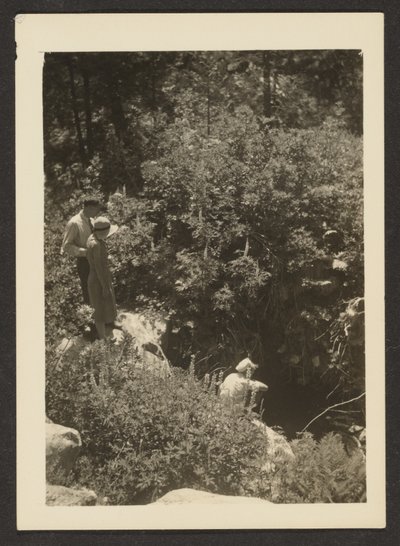Frühling im Fern Valley von Louis Fleckenstein