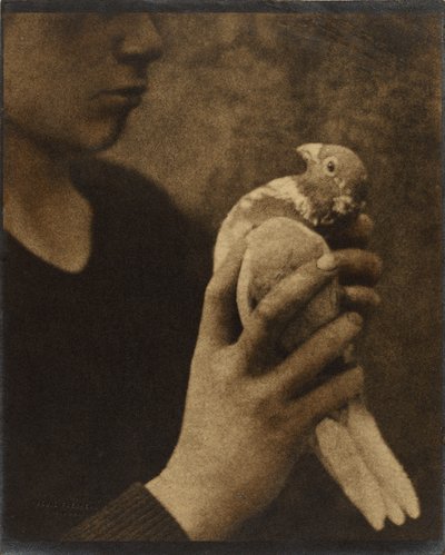 Der müde Bote von Louis Fleckenstein