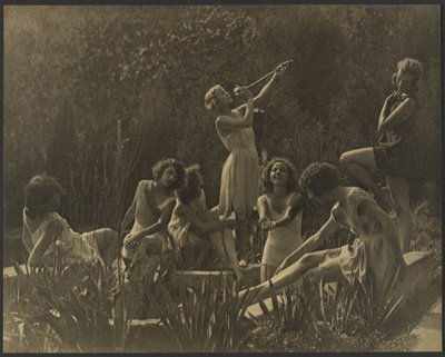 Seerosen von Louis Fleckenstein