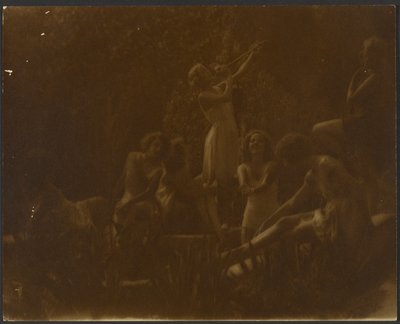 Seerosen von Louis Fleckenstein