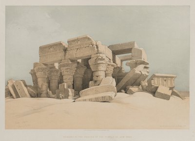 Ägypten und Nubien, Band II: Kom-Ombo von Louis Haghe
