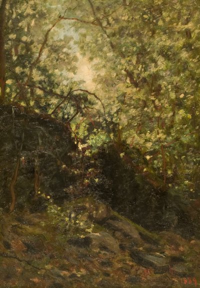 Nacht durch den Wald, 1889 von Louis Michel Eilshemius