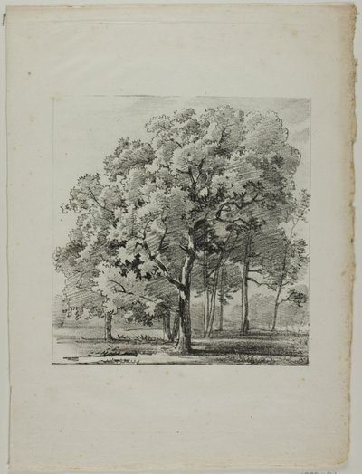 Studie von Bäumen von Louis Pierre Baltard