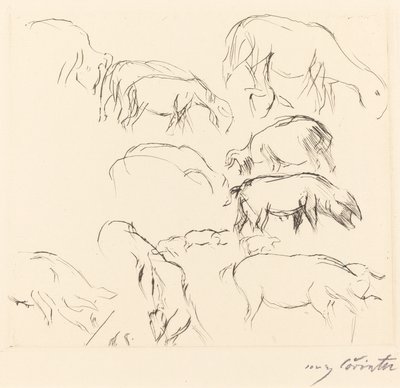 Verschiedene Tierstudien von Lovis Corinth