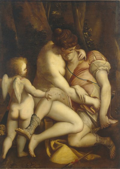 Venus und Adonis von Luca Cambiaso