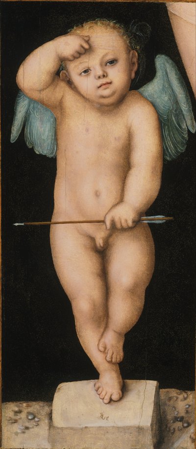 Amor von Lucas Cranach the Elder