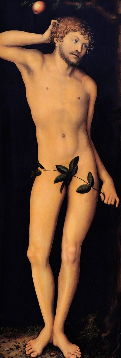 Adam, 1528 von Lucas Cranach the Elder