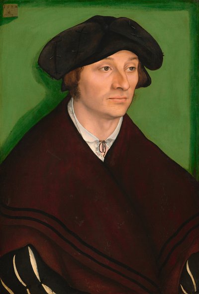 Porträt eines Mannes von Lucas Cranach the Elder