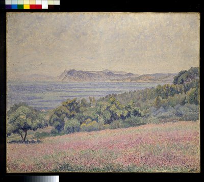 Disteln, Le Brusq von Lucien Pissarro
