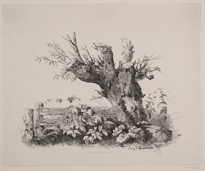 An einem Zaun von Ludvig Messmann