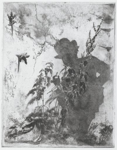 Das kontemplative Leben von Luigi Conconi