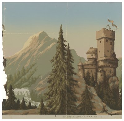 Burgen am Rhein von M.H. Birge and Sons Co