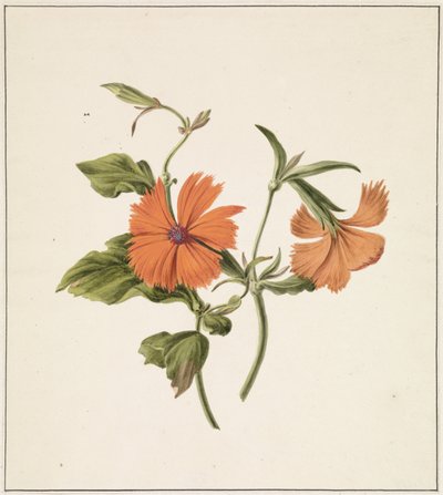 Gelbe Chinesische Rose (Rosa Chinensis Lutea) von M. de Gijselaar