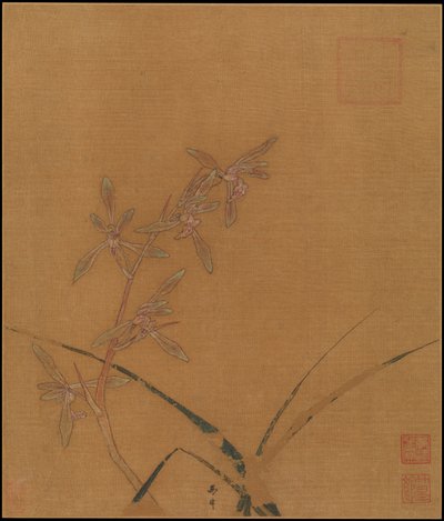 Orchideen, zweites Viertel des 13. Jahrhunderts. von Ma Lin