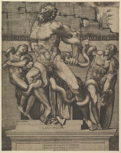 Speculum Romanae Magnificentiae: Laokoon von Marco Dente