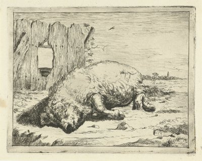 Liegendes Schwein von Marcus de Bye