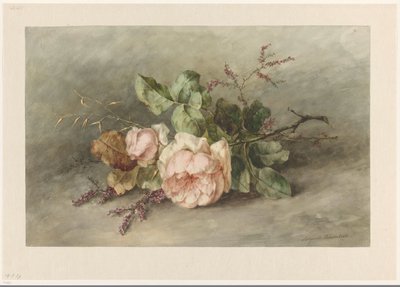 Rosen von Margaretha Roosenboom