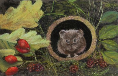 Feldmaus im Abflussrohr, 2020 von Margo Starkey