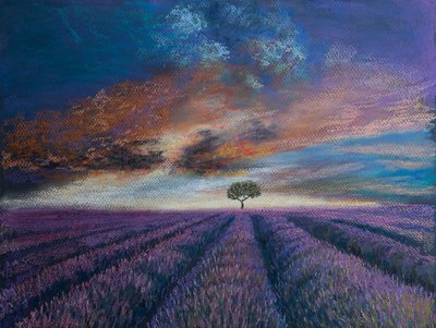 Lavendelfelder der Normandie von Margo Starkey