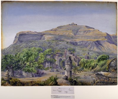 Champaneer, in der Nähe von Baroda, Indien von Marianne North